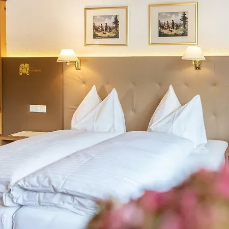 Hotel Sonnenheim 4*